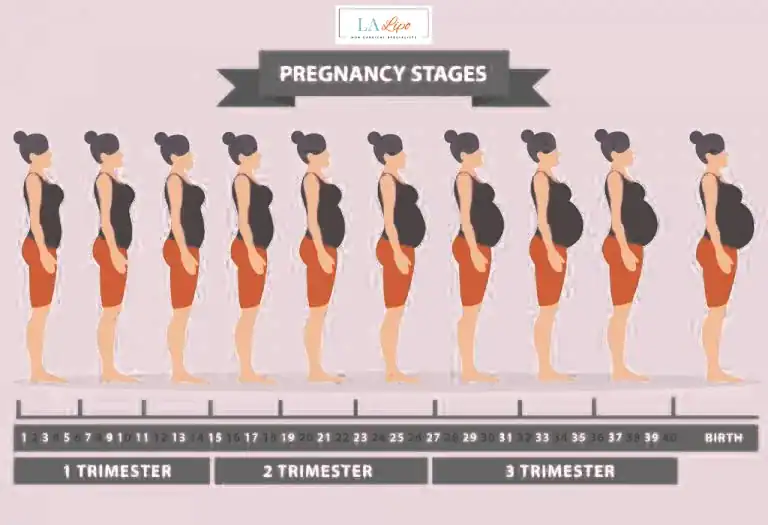 First Trimester (Weeks 1–12): Early Changes You Might Not Notice Abbots Langley